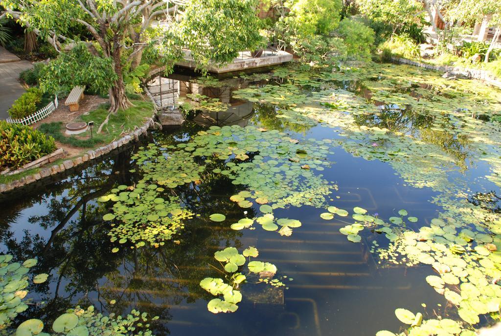 Yukurinaresort Okinawa Ocean Terrace Motobu Bagian luar foto